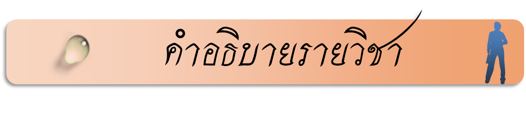 DES DES